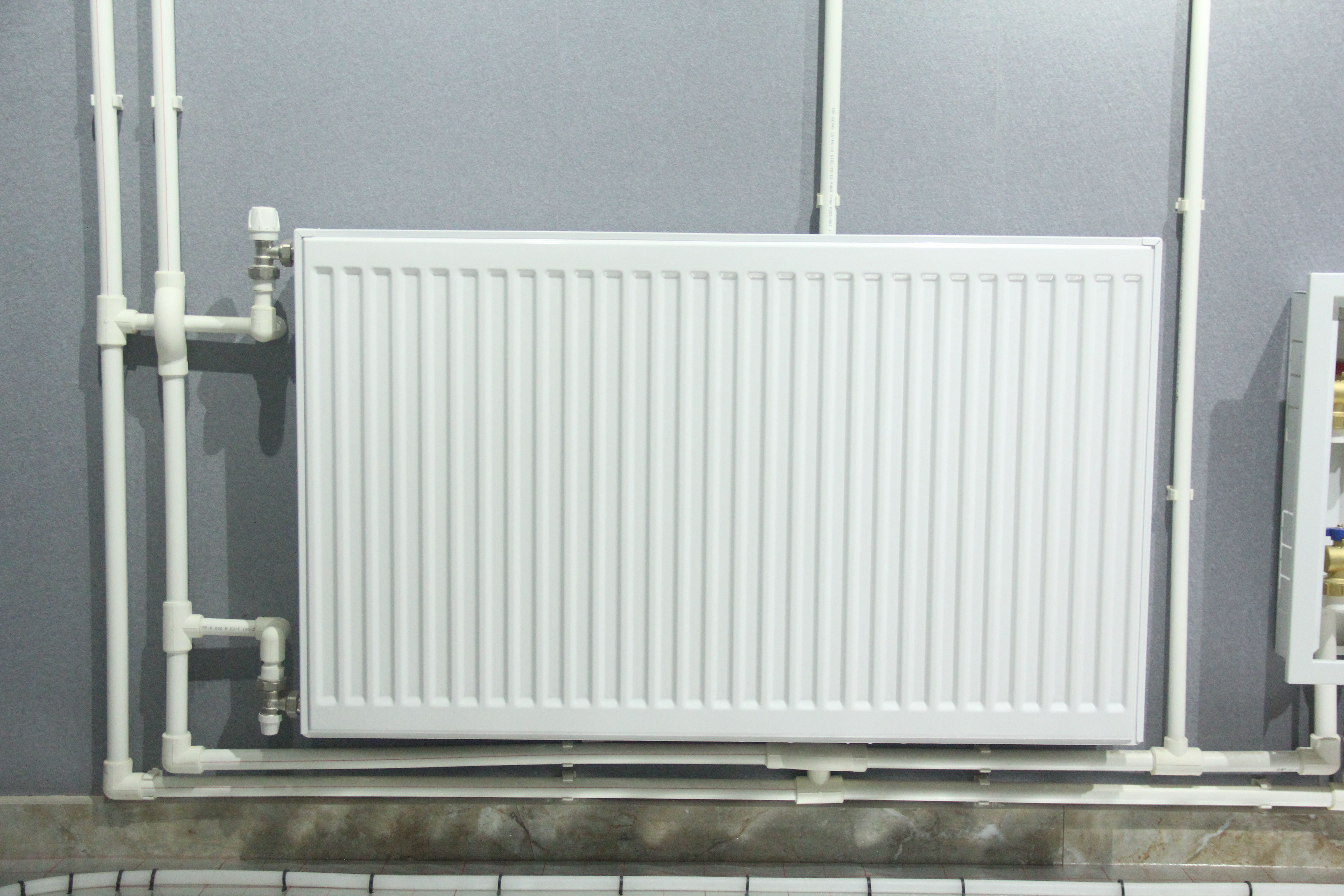 1534212392224754.jpg IMG_8148.JPG